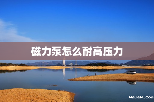 磁力泵怎么耐高压力