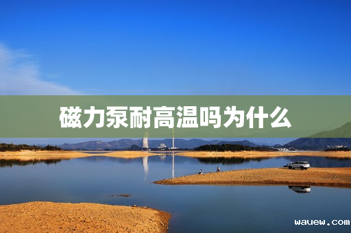 磁力泵耐高温吗为什么