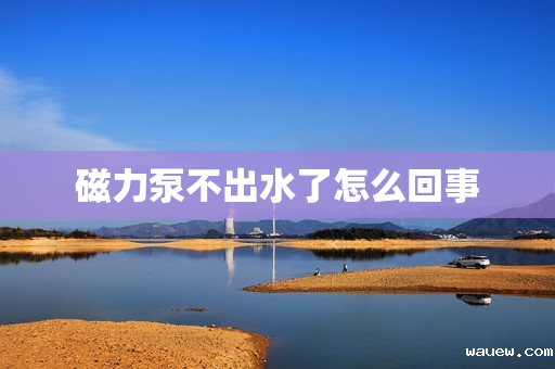 磁力泵不出水了怎么回事