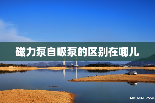 磁力泵自吸泵的区别在哪儿