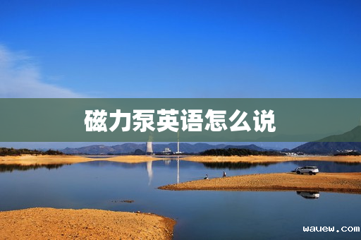 磁力泵英语怎么说