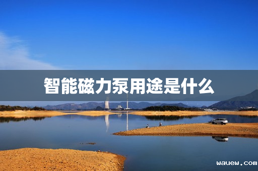 智能磁力泵用途是什么