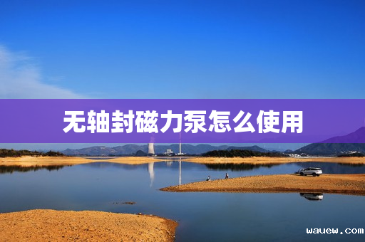 无轴封磁力泵怎么使用