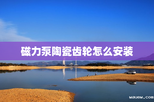 磁力泵陶瓷齿轮怎么安装