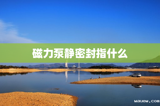 磁力泵静密封指什么