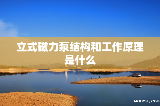 立式磁力泵结构和工作原理是什么