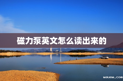 磁力泵英文怎么读出来的