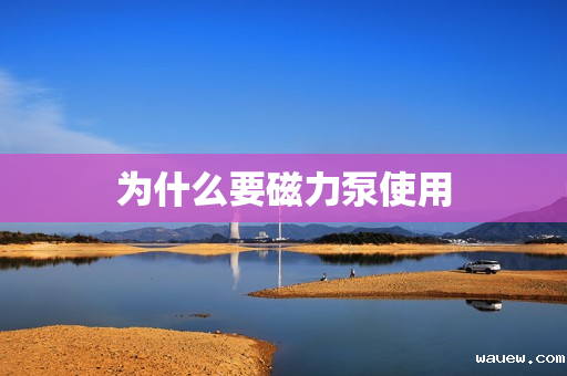 为什么要磁力泵使用