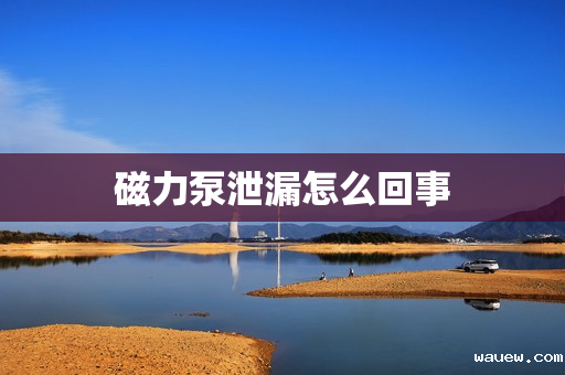 磁力泵泄漏怎么回事