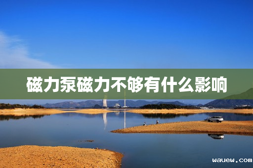 磁力泵磁力不够有什么影响