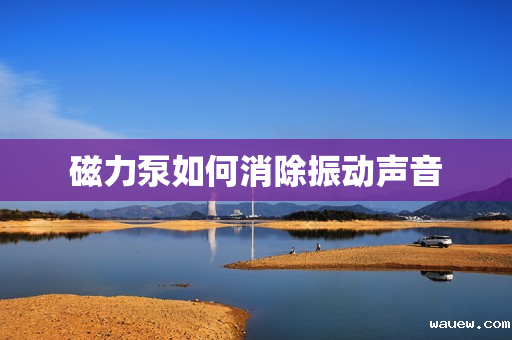 磁力泵如何消除振动声音