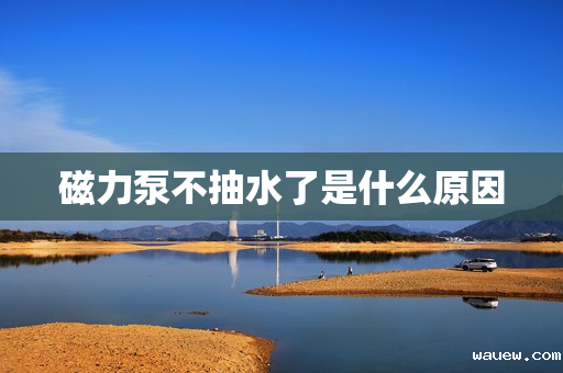 磁力泵不抽水了是什么原因