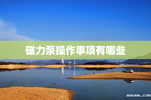 磁力泵操作事项有哪些