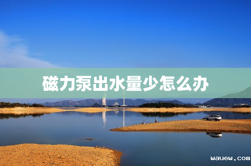 磁力泵出水量少怎么办