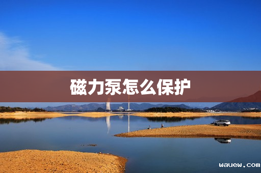 磁力泵怎么保护