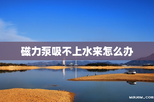 磁力泵吸不上水来怎么办
