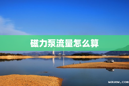 磁力泵流量怎么算