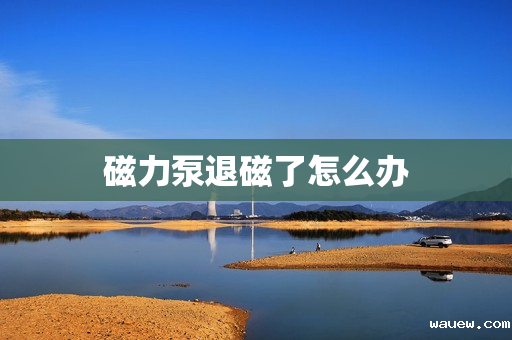 磁力泵退磁了怎么办