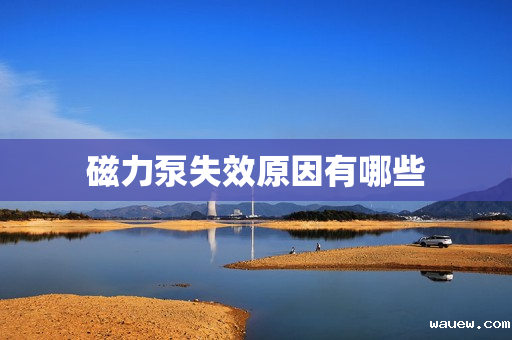 磁力泵失效原因有哪些