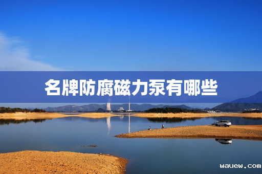 名牌防腐磁力泵有哪些