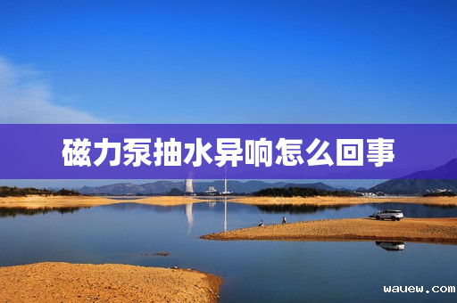 磁力泵抽水异响怎么回事