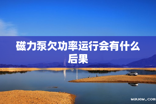 磁力泵欠功率运行会有什么后果