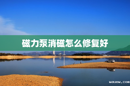 磁力泵消磁怎么修复好