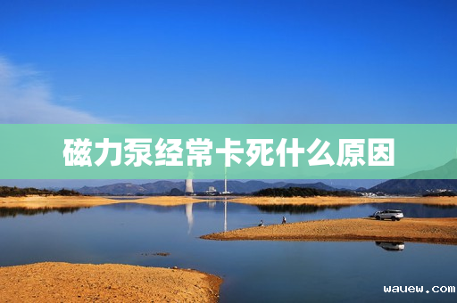 磁力泵经常卡死什么原因