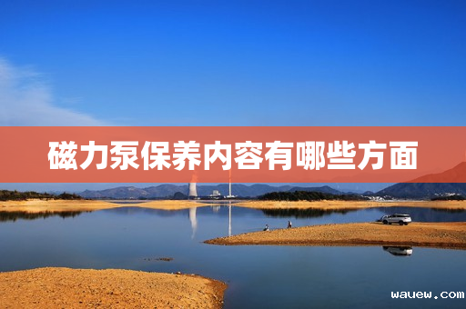 磁力泵保养内容有哪些方面