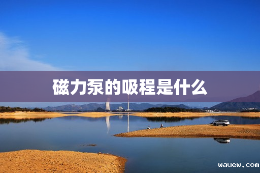 磁力泵的吸程是什么