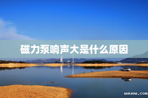 磁力泵响声大是什么原因