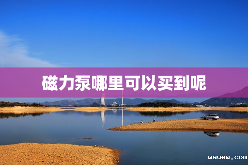 磁力泵哪里可以买到呢