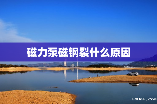 磁力泵磁钢裂什么原因