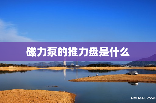 磁力泵的推力盘是什么