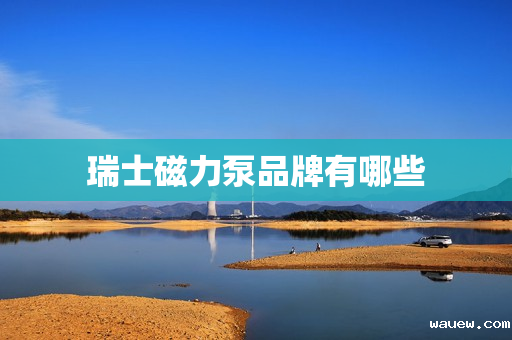 瑞士磁力泵品牌有哪些