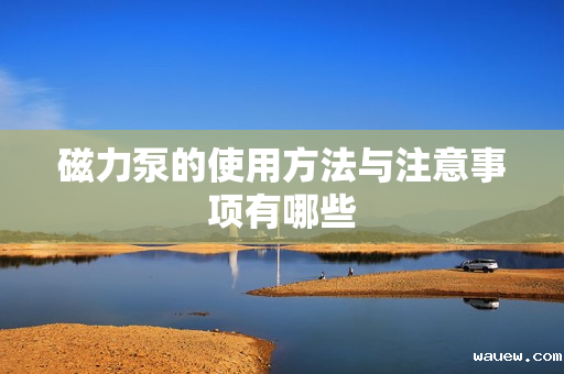 磁力泵的使用方法与注意事项有哪些