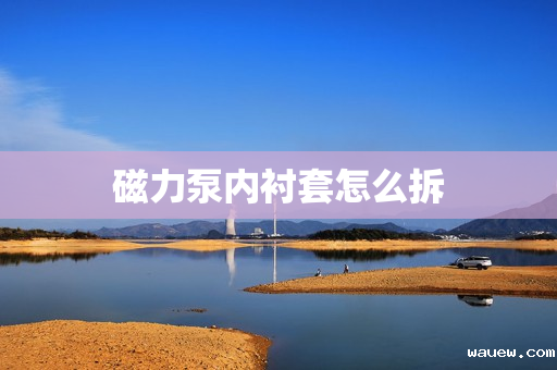 磁力泵内衬套怎么拆