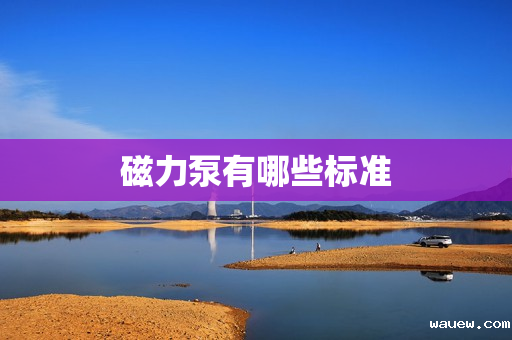 磁力泵有哪些标准