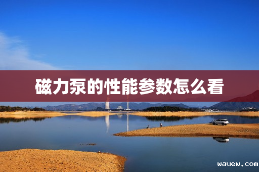 磁力泵的性能参数怎么看