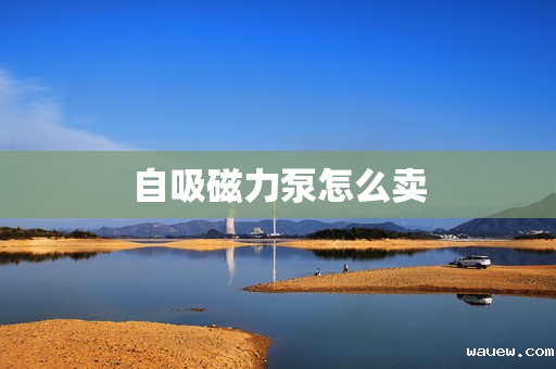 自吸磁力泵怎么卖