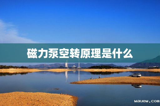 磁力泵空转原理是什么