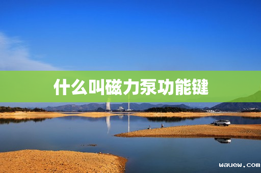 什么叫磁力泵功能键