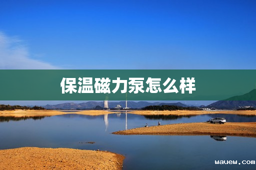 保温磁力泵怎么样