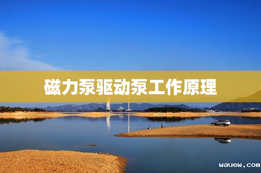 磁力泵驱动泵工作原理