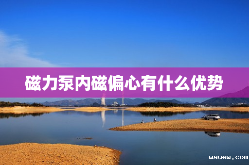 磁力泵内磁偏心有什么优势