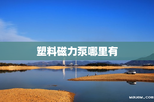 塑料磁力泵哪里有