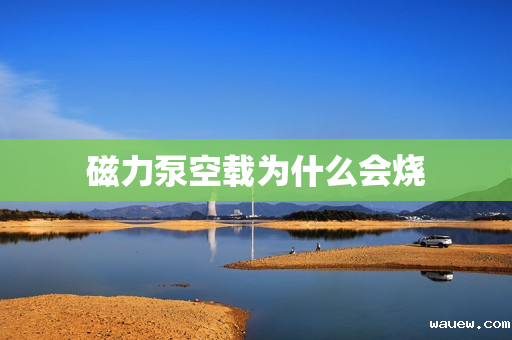 磁力泵空载为什么会烧