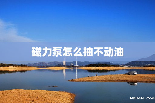 磁力泵怎么抽不动油