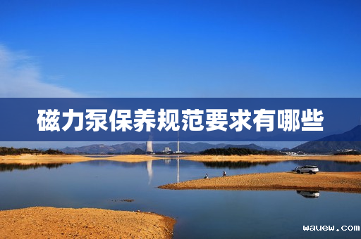 磁力泵保养规范要求有哪些