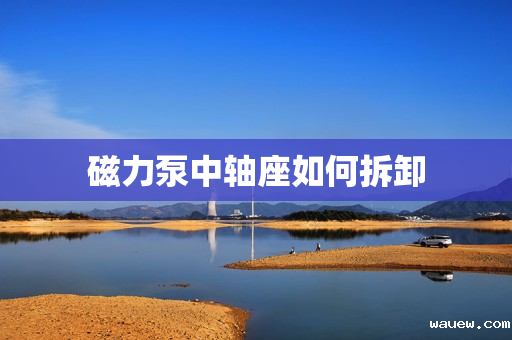 磁力泵中轴座如何拆卸